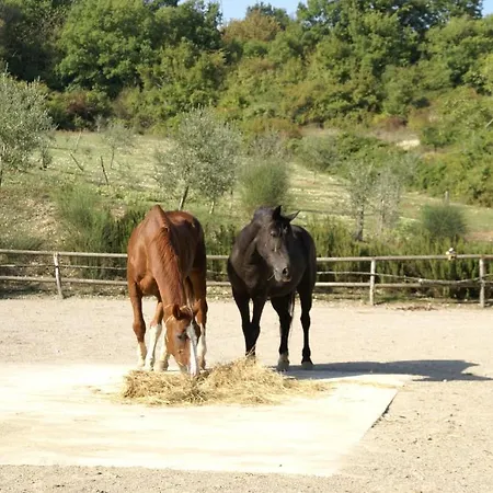 Agriturismo Le Novelle Appartamento Barberino di Mugello